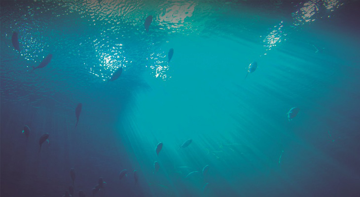 Los delitos ambientales buscan su vía de escape