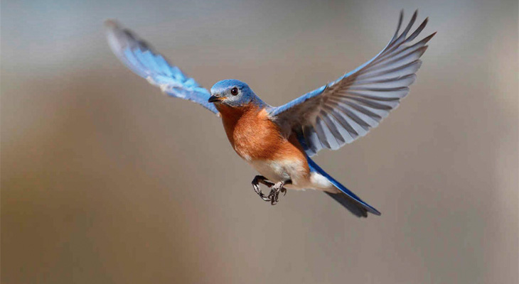 CPC y EY lideran comisión para exponer visión del mundo privado de cara a la COP25